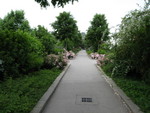 Promenade plantee